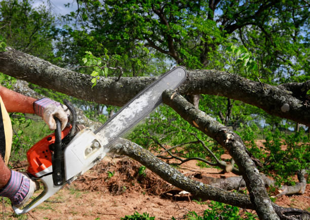 Best Aeration Services  in Woodville, CA
